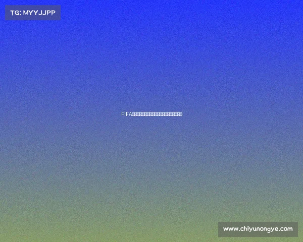 FIFA世界杯英文介绍与赛事回顾解析历史意义研究